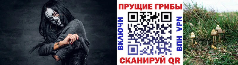 ссылка на мегу ссылка  Вуктыл  Псилоцибиновые грибы ЛСД 